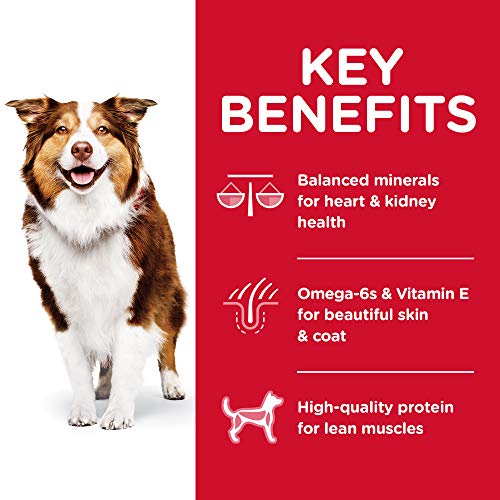 Hill's Science Diet Dry Dog Food, Adult 7+ for Senior Dogs, Chicken Meal, Barley & Brown Rice Recipe, 33 lb. Bag by Hill's Science Diet Dog