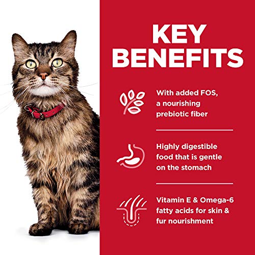 Hill's Science Diet Dry Cat Food, Adult, Sensitive Stomach & Skin, Chicken & Rice Recipe, 15.5 Lb Bag from Hill's Science Diet Cat