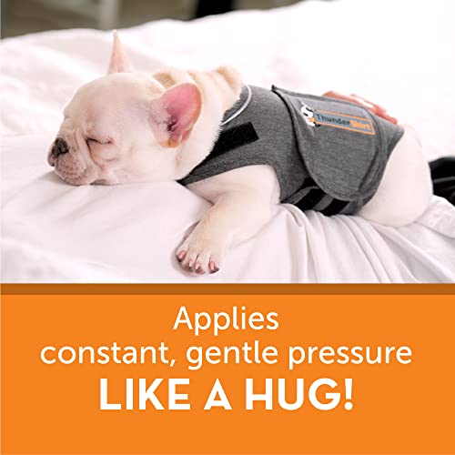 Thundershirt Dog Anxiety Treatment - Gray (Medium) by Central Garden & Pet