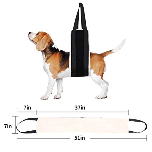 HNYG 30-120 lbs Large Dog Sling for Rear Legs Helps Elderly Dogs with Reduced Mobility, Dog Support K9 Dog Lift Harness, Dog Lifter for Arthritis ACL Rehabilitation Rehab, 7" x 51" by HUANGYUAN