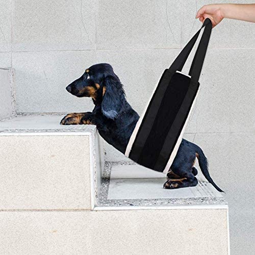 HNYG 30-120 lbs Large Dog Sling for Rear Legs Helps Elderly Dogs with Reduced Mobility, Dog Support K9 Dog Lift Harness, Dog Lifter for Arthritis ACL Rehabilitation Rehab, 7" x 51" by HUANGYUAN