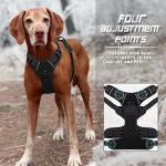 Heavy Duty Reflective No Pull Dog Harness - Small
