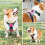 No Pull Dog Harness with Reflective Adjustable Vest