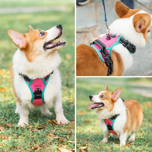 PHOEPET 2019 Upgraded No Pull Dog Harness, Reflective Adjustable Vest, with a Training Handle + 2 Metal Leash Hooks+ 3 Snap Buckles +4 Slide Buckles(L, Pink) by PHOEPET