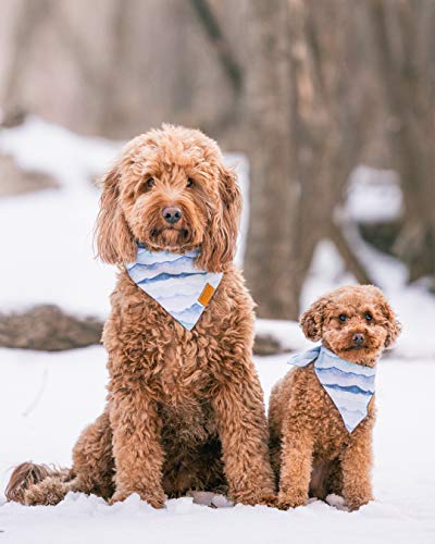 Remy+Roo Dog Bandanas - 4 Pack | Ryan Set | Premium Fabric