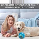 IQ Treat Ball for Pets - Large 4 Inches