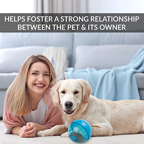 OurPets IQ Treat Ball Interactive Dog Toys (Slow Feeder, Dog Puzzle Toys, Treat Dispensing Dog Toys, Great Alternative to Snuffle Mats for Dogs) Dog Toys for Large Dogs & Small Dogs-Colors May Vary 4" by Our Pets