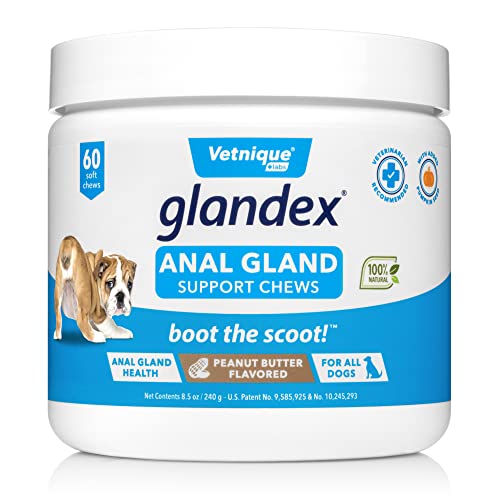 Glandex Anal Gland Soft Chew Treats with Pumpkin for Dogs 60ct Chews with Digestive Enzymes, Probiotics Fiber Supplement for Dogs â Vet Recommended - Boot The Scoot (Peanut Butter) - by Vetnique Labs by Glandex
