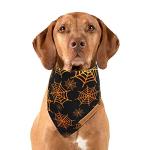 Halloween Dog Bandanas 2 Pack - Pumpkin & Spider Web