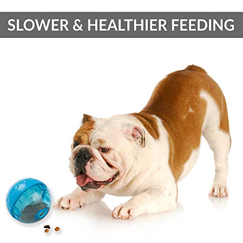 OurPets IQ Treat Ball Interactive Dog Toys (Slow Feeder, Dog Puzzle Toys, Treat Dispensing Dog Toys, Great Alternative to Snuffle Mats for Dogs) Dog Toys for Large Dogs & Small Dogs-Colors May Vary 4" by Our Pets