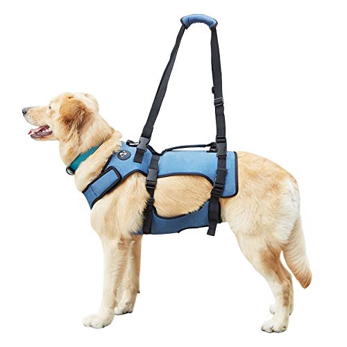 Coodeo Dog Lift Harness, Support & Recovery Sling, Pet Rehabilitation Lifts Vest Adjustable Breathable Straps for Old, Disabled, Joint Injuries, Arthritis, Paralysis Dogs Walk (XLarge) from Hanfu
