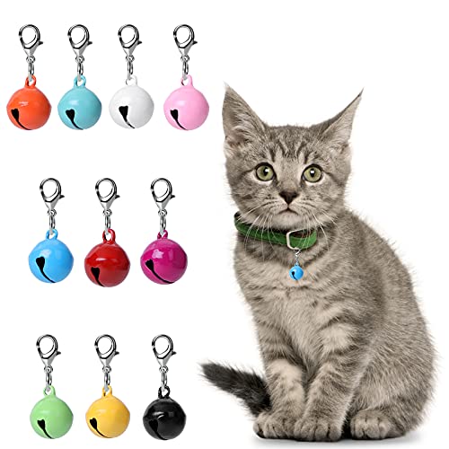 10 Pcs Cat Dog Collar Bells, Jingle Bell for Cat Collar, Dog Collar Charms, Colourful Pet Small Bells with Clasps, Pet Collar Accessories, Festival Party DIY Crafts Decoration from Molain