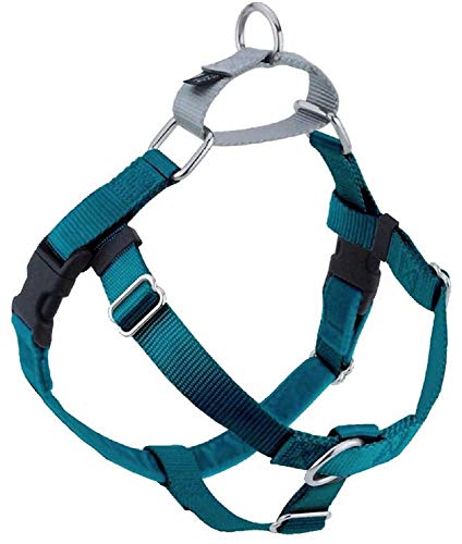 2 Hounds Design Freedom No Pull Dog Harness | Adjustable Gentle Comfortable Control for Easy Dog Walking | for Small Medium and Large Dogs | Made in USA | Leash Not Included | 1" LG Teal from 2 Hounds Design