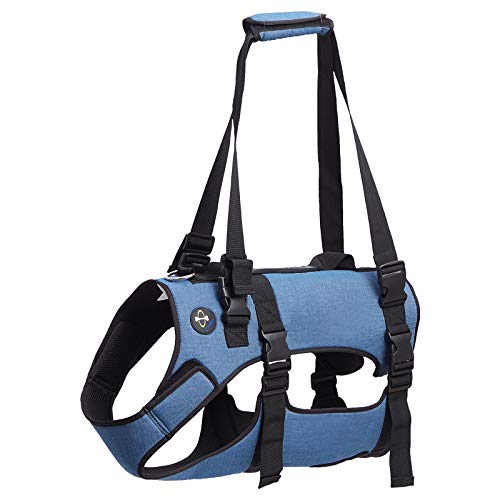 Coodeo Dog Lift Harness, Support & Recovery Sling, Pet Rehabilitation Lifts Vest Adjustable Breathable Straps for Old, Disabled, Joint Injuries, Arthritis, Paralysis Dogs Walk (XLarge) from Hanfu