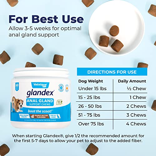 Glandex Anal Gland Soft Chew Treats with Pumpkin for Dogs 60ct Chews with Digestive Enzymes, Probiotics Fiber Supplement for Dogs â Vet Recommended - Boot The Scoot (Peanut Butter) - by Vetnique Labs by Glandex