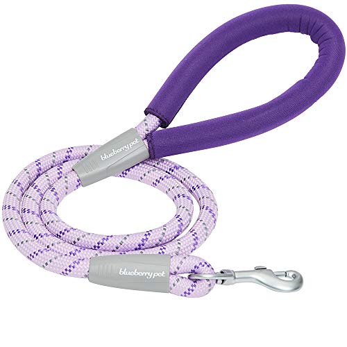 Blueberry Pet 10 Colors Durable Diagonal Striped Dog Rope Leash in Lavender with Comfy Neoprene Handle, 4 ft, Strong Leashes for Dogs from Blueberry Pet