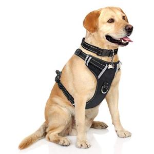 WINSEE No-Pull Dog Vest Harness with Handle