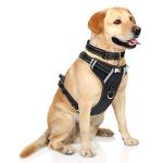 WINSEE No-Pull Dog Vest Harness with Handle