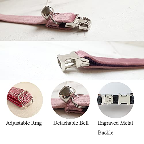 AnNengJing Personalized Cat Collar with Name Plate ,Adjustable Tough Nylon Cat ID Collars with Bell ,Customize Engraved Pet Name and Phone Number (Velvet Style B) by AnNengJing