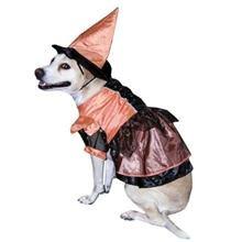 Vo-Toys Halloween Witch Costume for Dogs