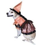 Vo-Toys Halloween Witch Costume for Dogs