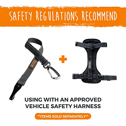 Mighty Paw Safety Belt, Dog Seat Belt, Latch Bar Attachment for Optimal Safety and Security, All Metal Hardware, Tangle-Free Swivel Attachment, Carabiner, Adjustable Length. (Black) by Mighty Paw