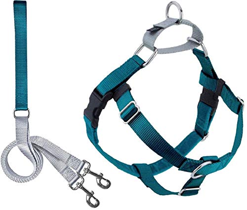 2 Hounds Design Freedom No Pull Dog Harness | Adjustable Gentle Comfortable Control for Easy Dog Walking |for Small Medium and Large Dogs | Made in USA | Leash Included | 1" LG Teal by 2 Hounds Design