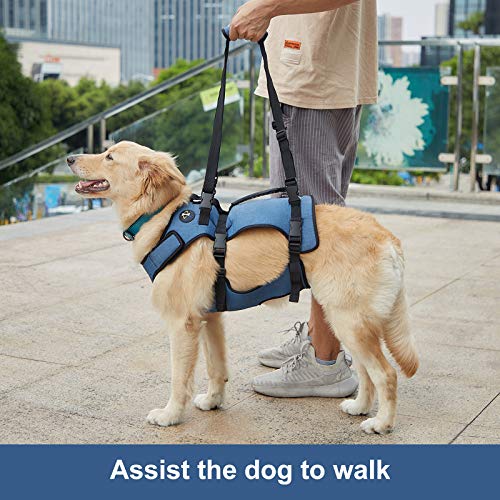 Coodeo Dog Lift Harness, Support & Recovery Sling, Pet Rehabilitation Lifts Vest Adjustable Breathable Straps for Old, Disabled, Joint Injuries, Arthritis, Paralysis Dogs Walk (XLarge) from Hanfu