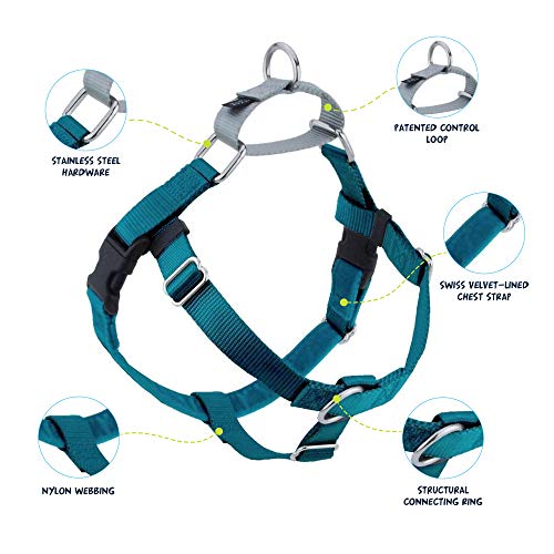 2 Hounds Design Freedom No Pull Dog Harness | Adjustable Gentle Comfortable Control for Easy Dog Walking | for Small Medium and Large Dogs | Made in USA | Leash Not Included | 1" LG Teal from 2 Hounds Design