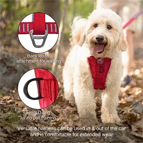 Kurgo Dog Harness | Car Harness for Dogs | Large | BlackPet Safety Seat Belt | Certified Crash Tested Harness | Car Seatbelt | Tru-Fit Enhanced Strength Style by Kurgo