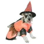 Vo-Toys Halloween Witch Costume for Dogs