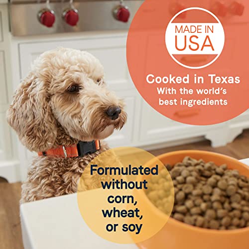 Canidae All Life Stages Dry Dog Food, Chicken Meal and Rice, 15lbs from CANIDAE Corporation