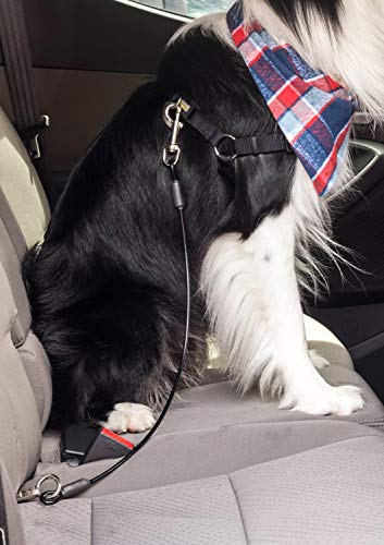 Leash Boss Dog Car Seat Belt Restraint - No-Chew Heavy Duty Car Seatbelt for Pets - 5 Sizes - Coated Steel Rope to Prevent Chewing (26 in) by Leashboss