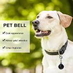 Colorful Cat and Dog Collar Jingle Bells - 10 Pack