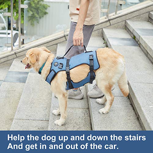 Coodeo Dog Lift Harness, Support & Recovery Sling, Pet Rehabilitation Lifts Vest Adjustable Breathable Straps for Old, Disabled, Joint Injuries, Arthritis, Paralysis Dogs Walk (XLarge) from Hanfu