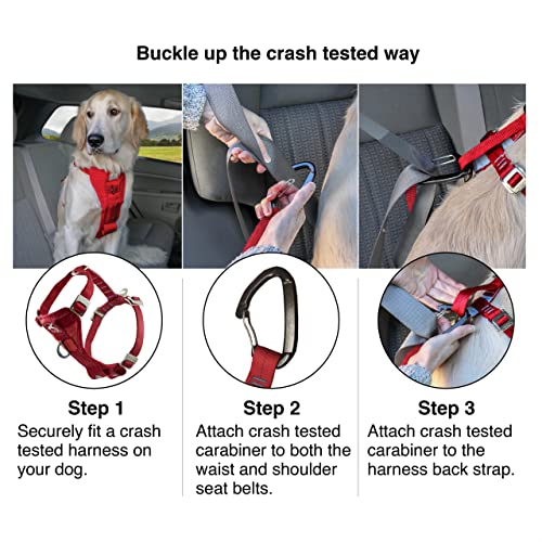 Kurgo Dog Harness | Car Harness for Dogs | Large | BlackPet Safety Seat Belt | Certified Crash Tested Harness | Car Seatbelt | Tru-Fit Enhanced Strength Style by Kurgo