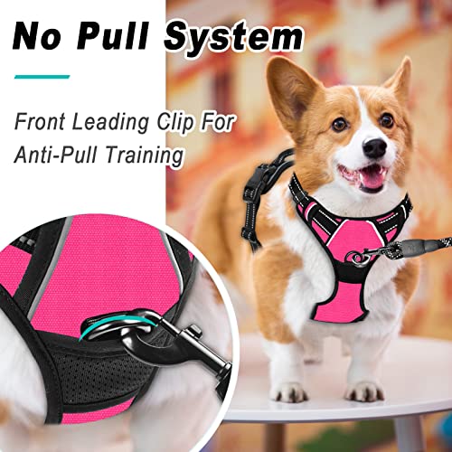 BARKBAY No Pull Pet Harness Dog Harness Adjustable Outdoor Pet Vest 3M Reflective Oxford Material Vest for PINK Dogs Easy Control for Small Medium Large Dogs (L) from BARKBAY