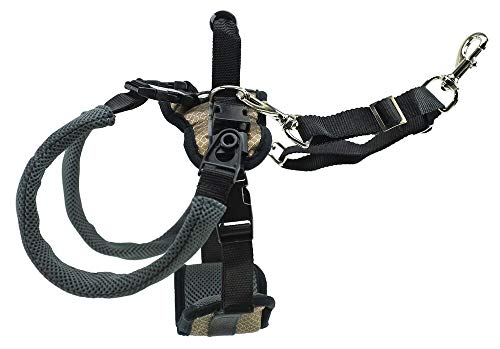 PetSafe CareLift Rear Support Harness - Lifting Aid with Handle and Shoulder Strap - Great for Pet Mobility and Older Dogs - Comfortable, Breathable Material - Easy to Adjust - Medium, Black by Radio Systems Corporation