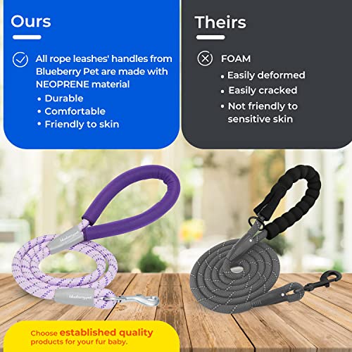 Blueberry Pet 10 Colors Durable Diagonal Striped Dog Rope Leash in Lavender with Comfy Neoprene Handle, 4 ft, Strong Leashes for Dogs from Blueberry Pet