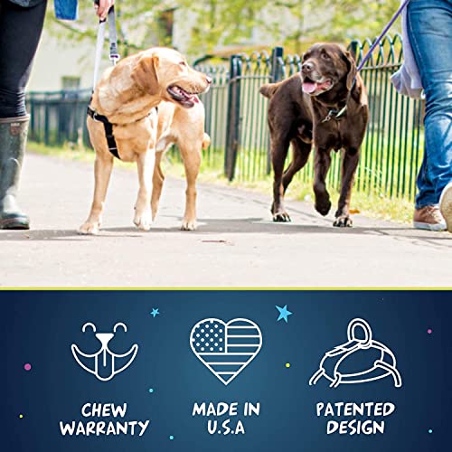 2 Hounds Design Freedom No Pull Dog Harness | Adjustable Gentle Comfortable Control for Easy Dog Walking | for Small Medium and Large Dogs | Made in USA | Leash Not Included | 1" LG Teal from 2 Hounds Design