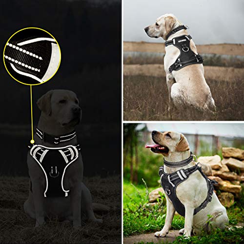 WINSEE Dog Harness No Pull, Pet Harnesses with Dog Collar, Adjustable Reflective Oxford Outdoor Vest, Front/Back Leash Clips for Small, Medium, Large, Extra Large Dogs, Easy Control Handle for Walking from WINSEE