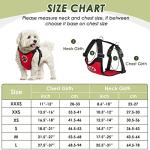 Adjustable Dog Seat Belt and Harness Set
