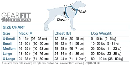 Kurgo Dog Harness | Car Harness for Dogs | Large | BlackPet Safety Seat Belt | Certified Crash Tested Harness | Car Seatbelt | Tru-Fit Enhanced Strength Style by Kurgo