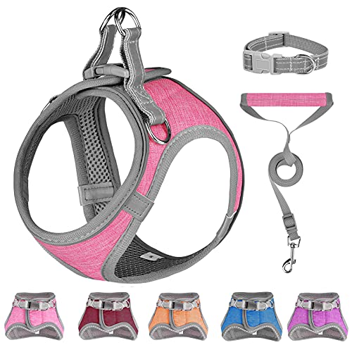 Small Dog Harness, Puppy Harness, Soft Dog Harness and Leash Set with a Reflective Collar for Small Dogs,Comfortable and Reflective Dog Vest Harness, Pink Small from LOCYFENS