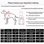 ICEFANG Tactical Dog Harness with Front Clip