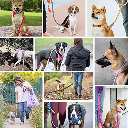 Blueberry Pet 10 Colors Durable Diagonal Striped Dog Rope Leash in Lavender with Comfy Neoprene Handle, 4 ft, Strong Leashes for Dogs from Blueberry Pet