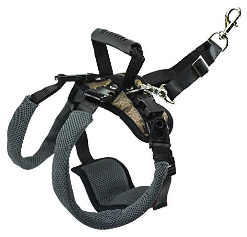 PetSafe CareLift Rear Support Harness - Lifting Aid with Handle and Shoulder Strap - Great for Pet Mobility and Older Dogs - Comfortable, Breathable Material - Easy to Adjust - Medium, Black by Radio Systems Corporation