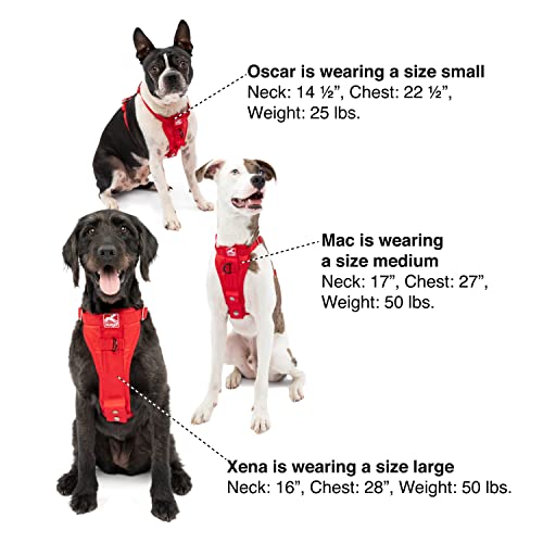 Kurgo Dog Harness | Car Harness for Dogs | Large | BlackPet Safety Seat Belt | Certified Crash Tested Harness | Car Seatbelt | Tru-Fit Enhanced Strength Style by Kurgo