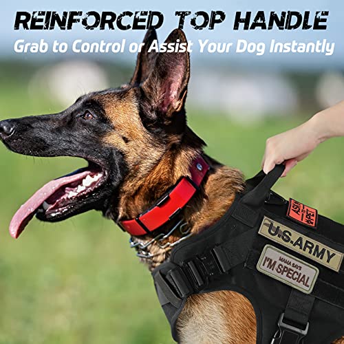 rabbitgoo Tactical Dog Harness for Large Dogs, Military Dog Harness with Handle, No-Pull Service Dog Vest with Molle & Loop Panels, Adjustable Dog Vest Harness for Training Hunting Walking, Black, L from GLOBEGOU CO.,LTD