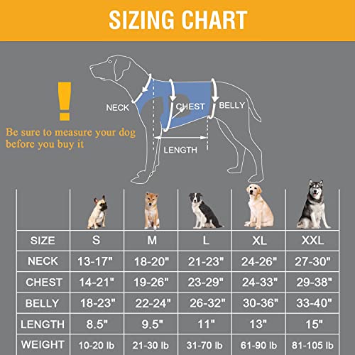 Coodeo Dog Lift Harness, Support & Recovery Sling, Pet Rehabilitation Lifts Vest Adjustable Breathable Straps for Old, Disabled, Joint Injuries, Arthritis, Paralysis Dogs Walk (XLarge) from Hanfu